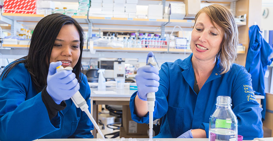 Scientists in a lab